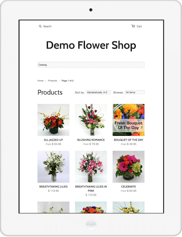 Shopify site on iPad